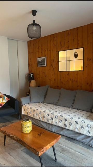 Appartement Tt Confort Au Coeur Des Montagnes Vue Sur Les Montagnes II Wifi Luz-Saint-Sauveur Zewnętrze zdjęcie